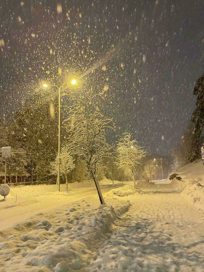 Golden Nights & Falling Snow: Yes Please!