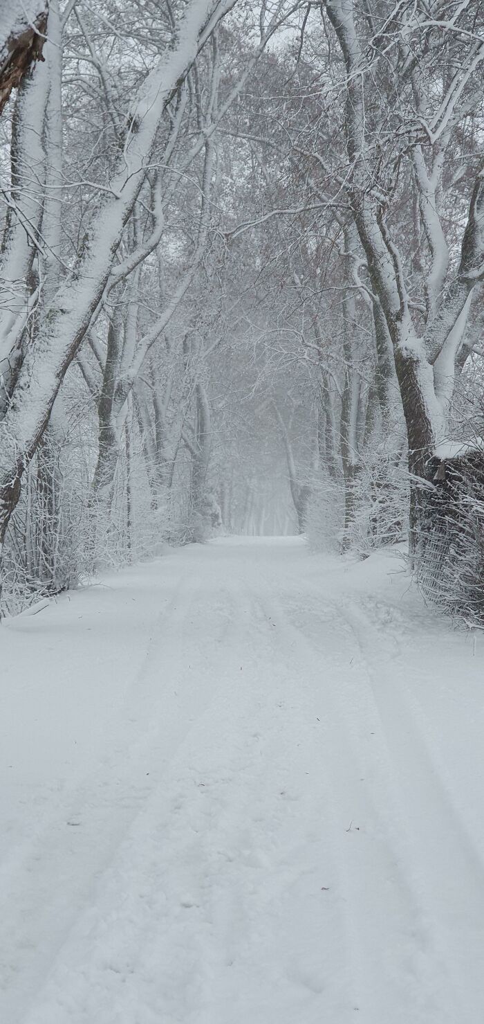 Just Gonna Leave This Snow Here