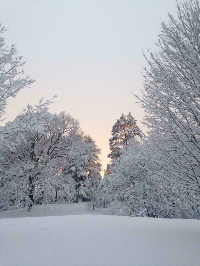 Beloved Snow Always Wins