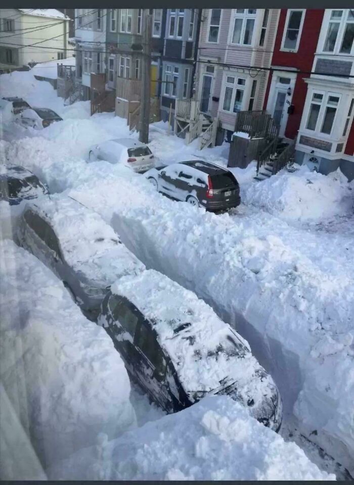 Newfoundland’s Snowy Wonderland