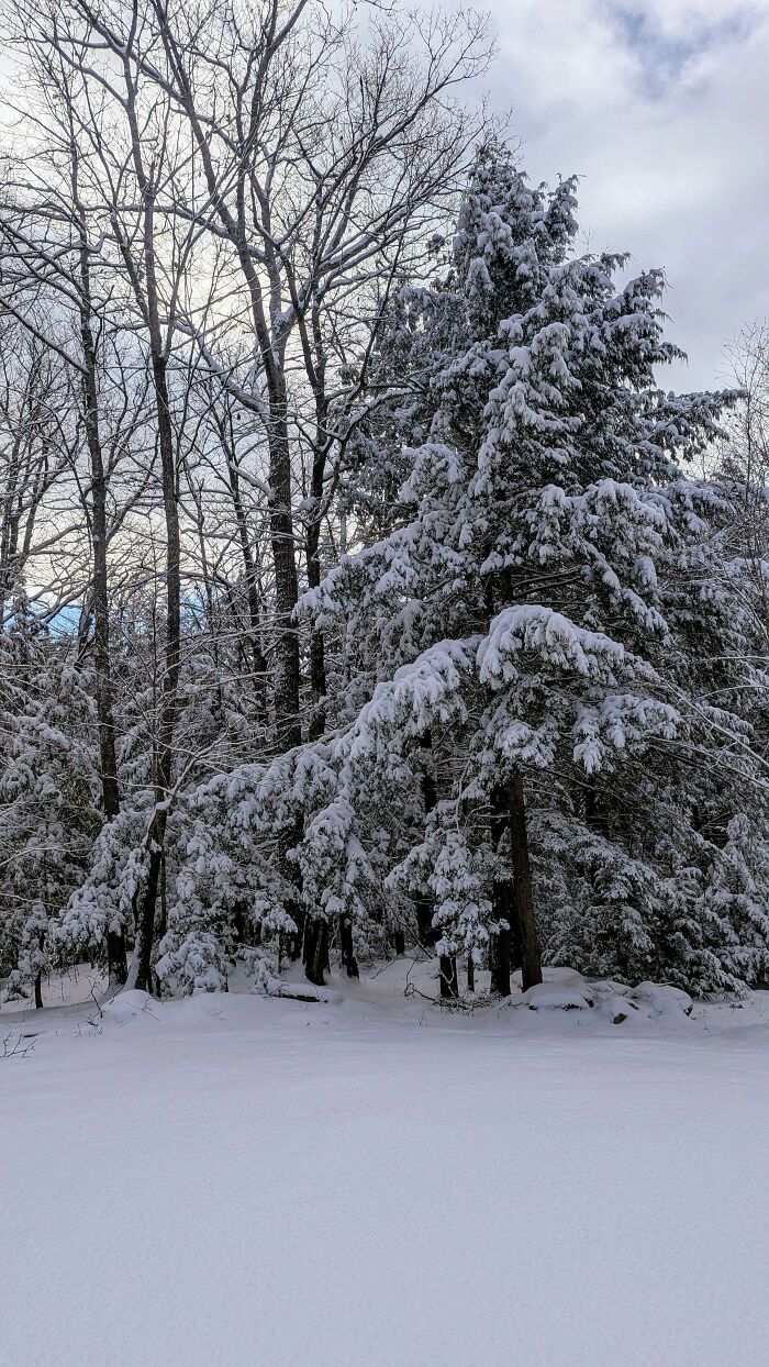 Moved Cross-Country for This Snow!