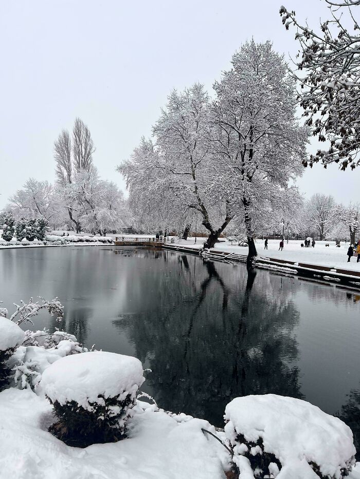 Let It Snow, Like Seriously, Let It!