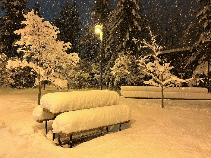 Anchorage Got 11 Inches in 12 Hours!