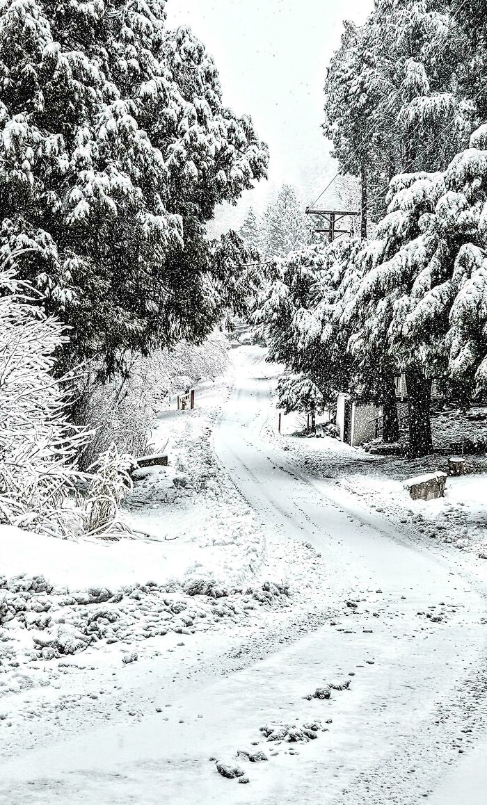 Snowing Like A Snow Pro