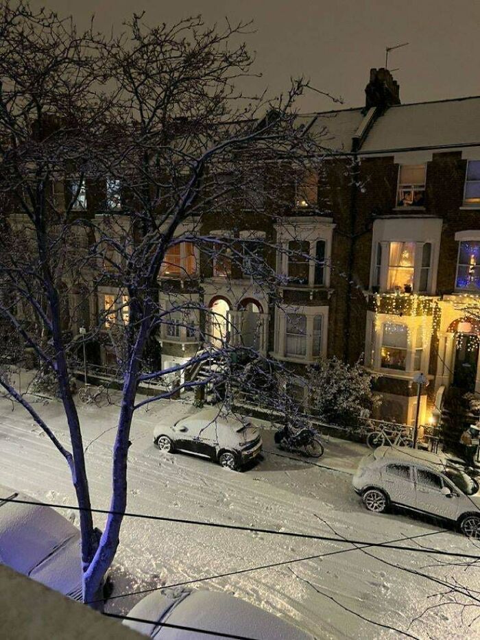 Wait, People Actually Love Winter? Check Out These Snow Pics!