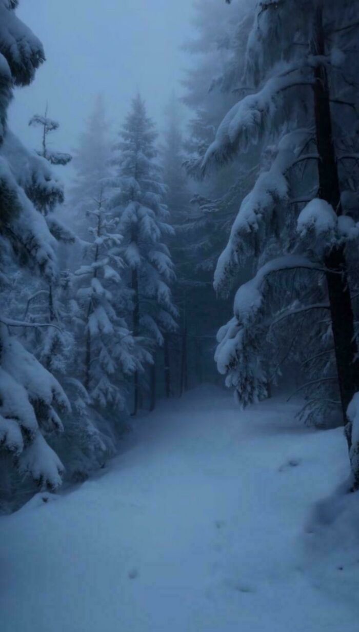 Wait, People Actually Love Winter? Check Out These Snow Pics!