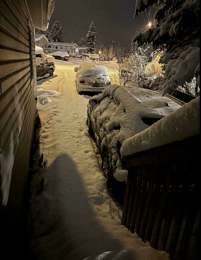 Wait, People Actually Love Winter? Check Out These Snow Pics!