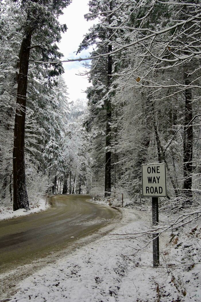 Wait, People Actually Love Winter? Check Out These Snow Pics!