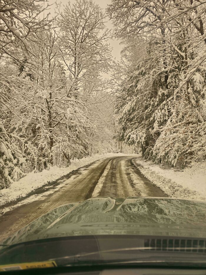 Wait, People Actually Love Winter? Check Out These Snow Pics!