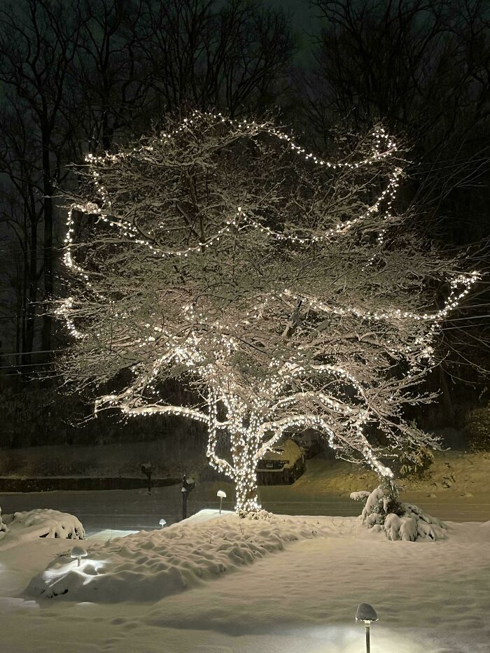 Wait, People Actually Love Winter? Check Out These Snow Pics!