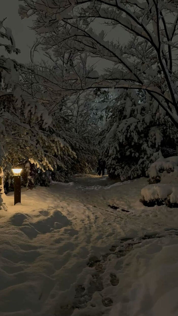 Wait, People Actually Love Winter? Check Out These Snow Pics!