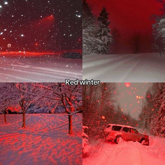 Wait, People Actually Love Winter? Check Out These Snow Pics!