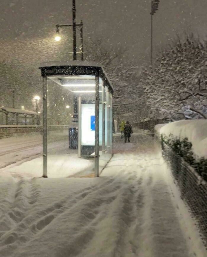 Wait, People Actually Love Winter? Check Out These Snow Pics!