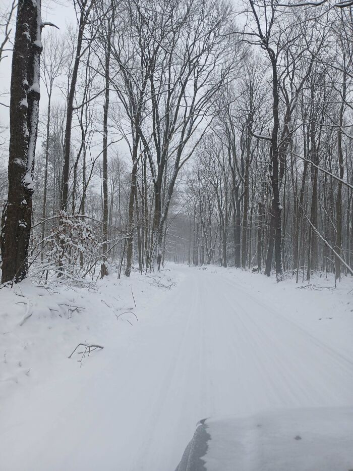 Wait, People Actually Love Winter? Check Out These Snow Pics!