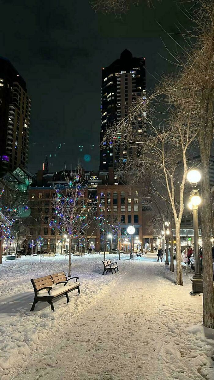 Wait, People Actually Love Winter? Check Out These Snow Pics!