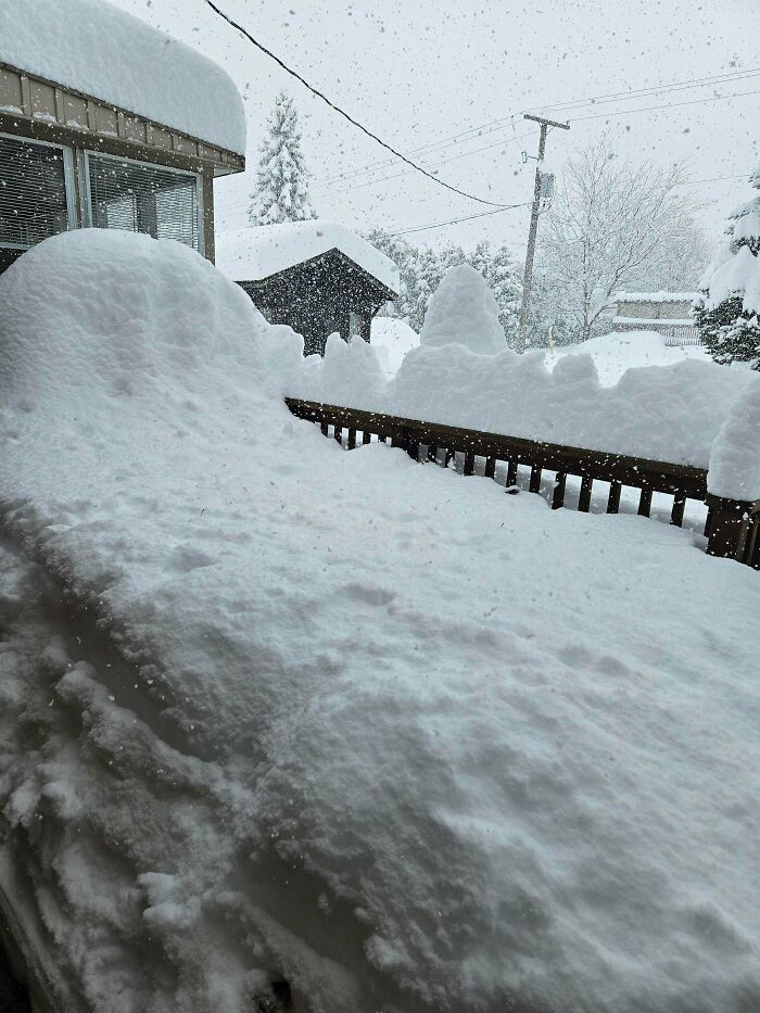 Wait, People Actually Love Winter? Check Out These Snow Pics!