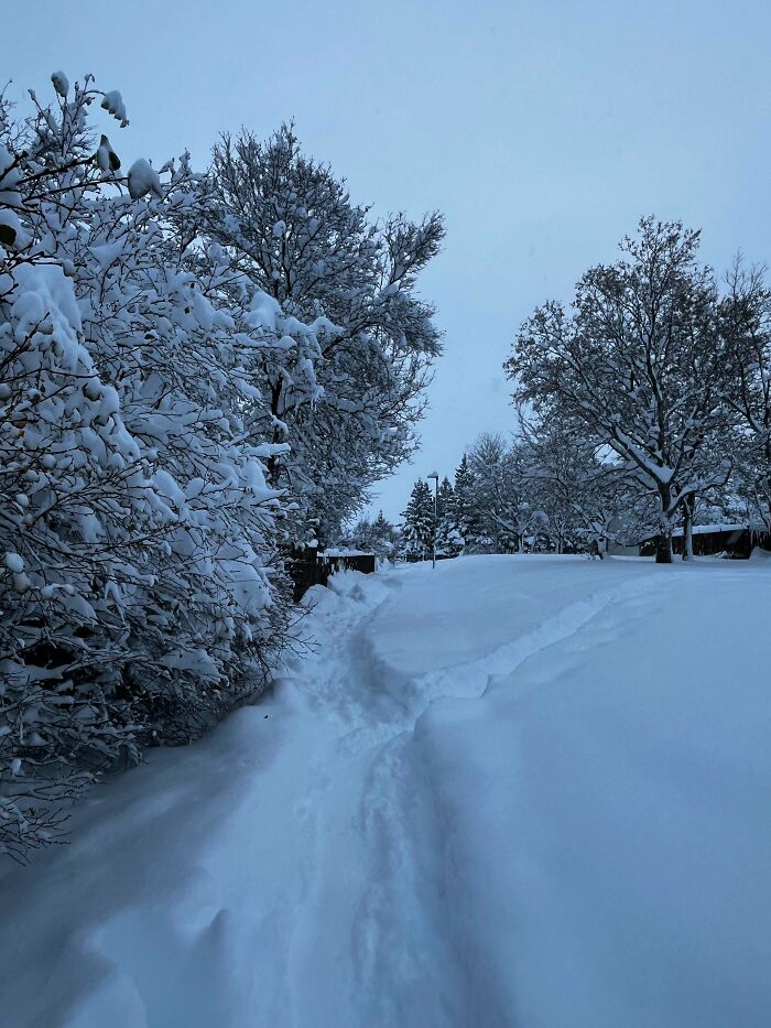 Wait, People Actually Love Winter? Check Out These Snow Pics!