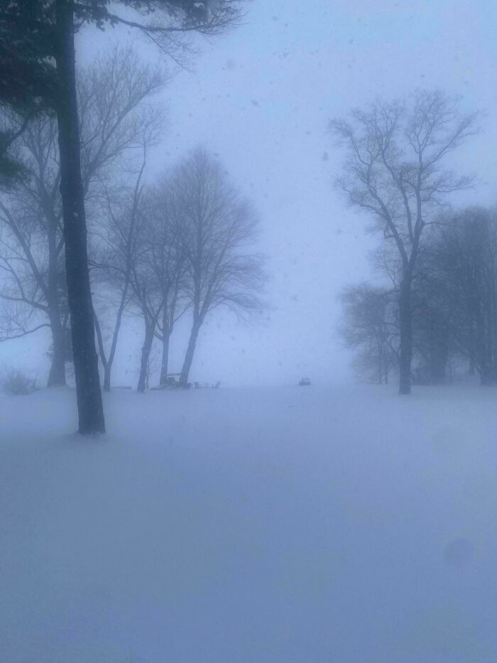 Wait, People Actually Love Winter? Check Out These Snow Pics!