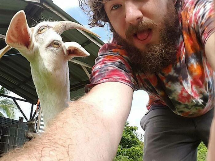 Don’t Do a Panorama with a Goat on the Move