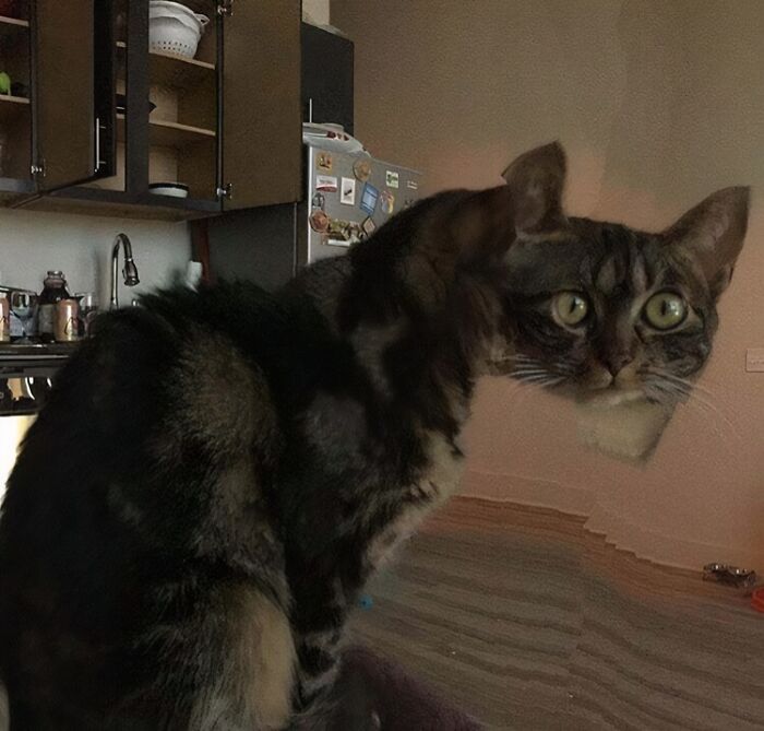 Whoa, These Panoramic Pics Totally Took a Wrong Turn!