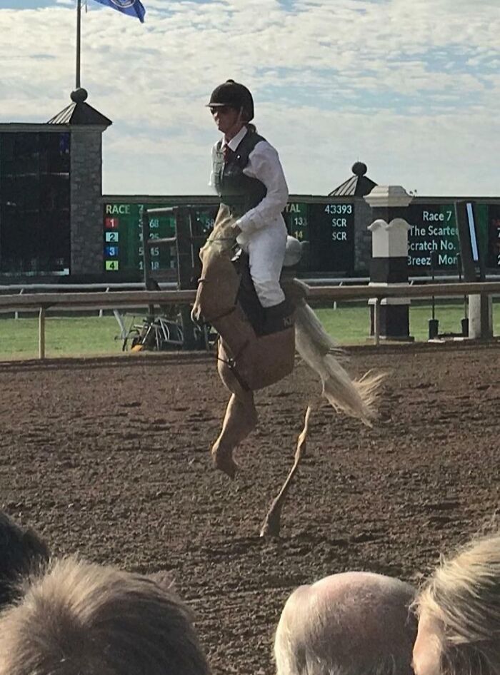 Whoa, These Panoramic Pics Totally Took a Wrong Turn!