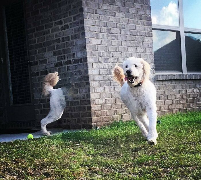 Whoa, These Panoramic Pics Totally Took a Wrong Turn!