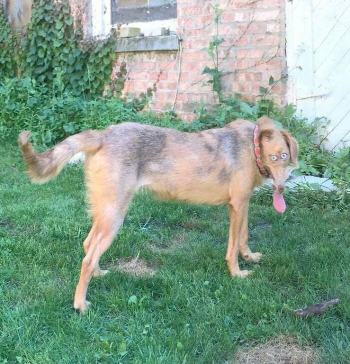 Whoa, These Panoramic Pics Totally Took a Wrong Turn!