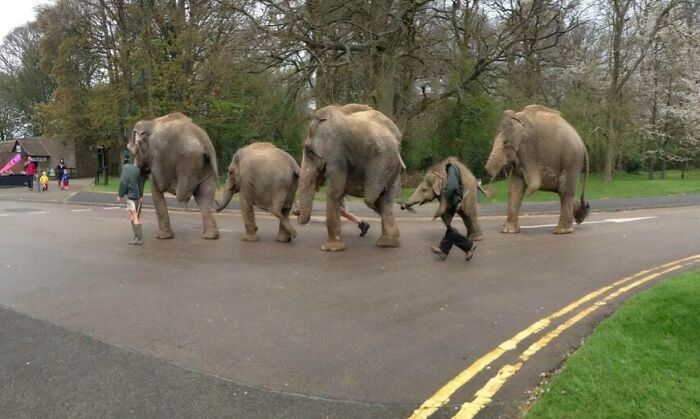 Whoa, These Panoramic Pics Totally Took a Wrong Turn!