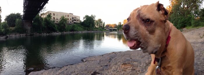 Whoa, These Panoramic Pics Totally Took a Wrong Turn!