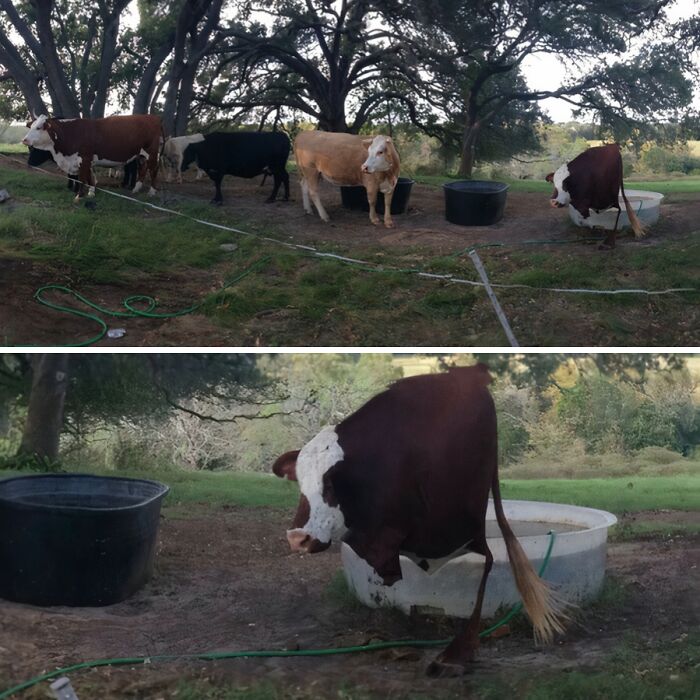 Whoa, These Panoramic Pics Totally Took a Wrong Turn!