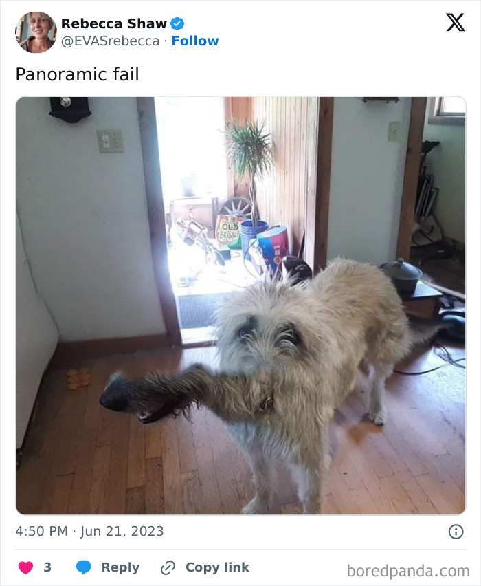 Whoa, These Panoramic Pics Totally Took a Wrong Turn!