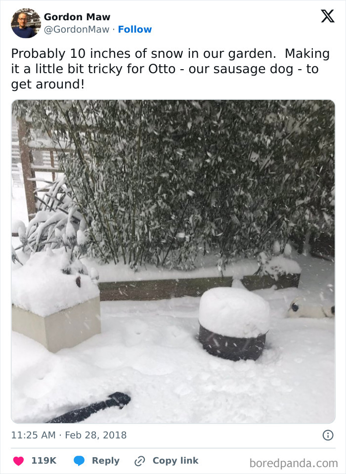 These 67 Winter Tweets Are Basically Me Pretending To Handle The Cold