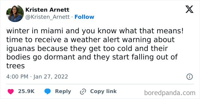 These 67 Winter Tweets Are Basically Me Pretending To Handle The Cold