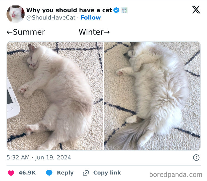 These 67 Winter Tweets Are Basically Me Pretending To Handle The Cold