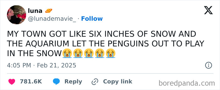 These 67 Winter Tweets Are Basically Me Pretending To Handle The Cold