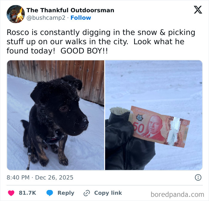 These 67 Winter Tweets Are Basically Me Pretending To Handle The Cold