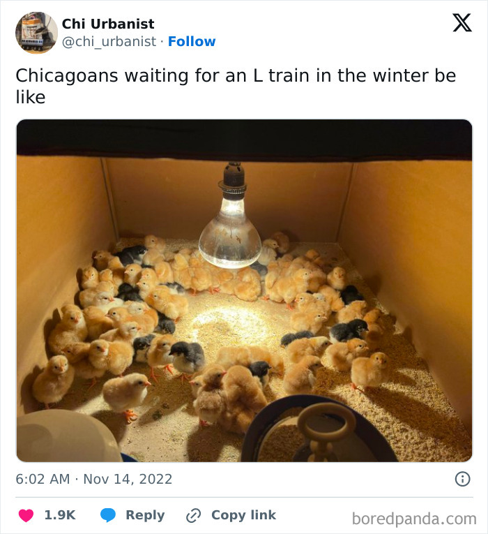 These 67 Winter Tweets Are Basically Me Pretending To Handle The Cold