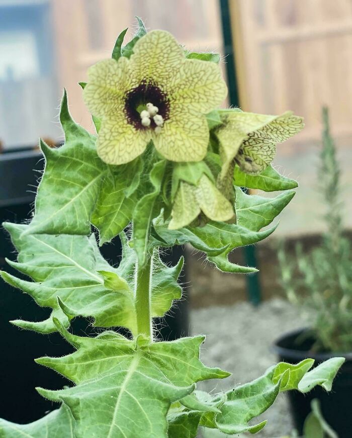 46 Weird Medical Facts That’ll Make You Go Huh?