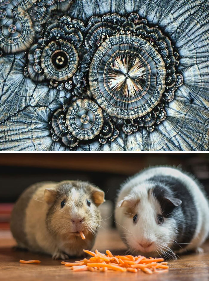 46 Weird Medical Facts That’ll Make You Go Huh?