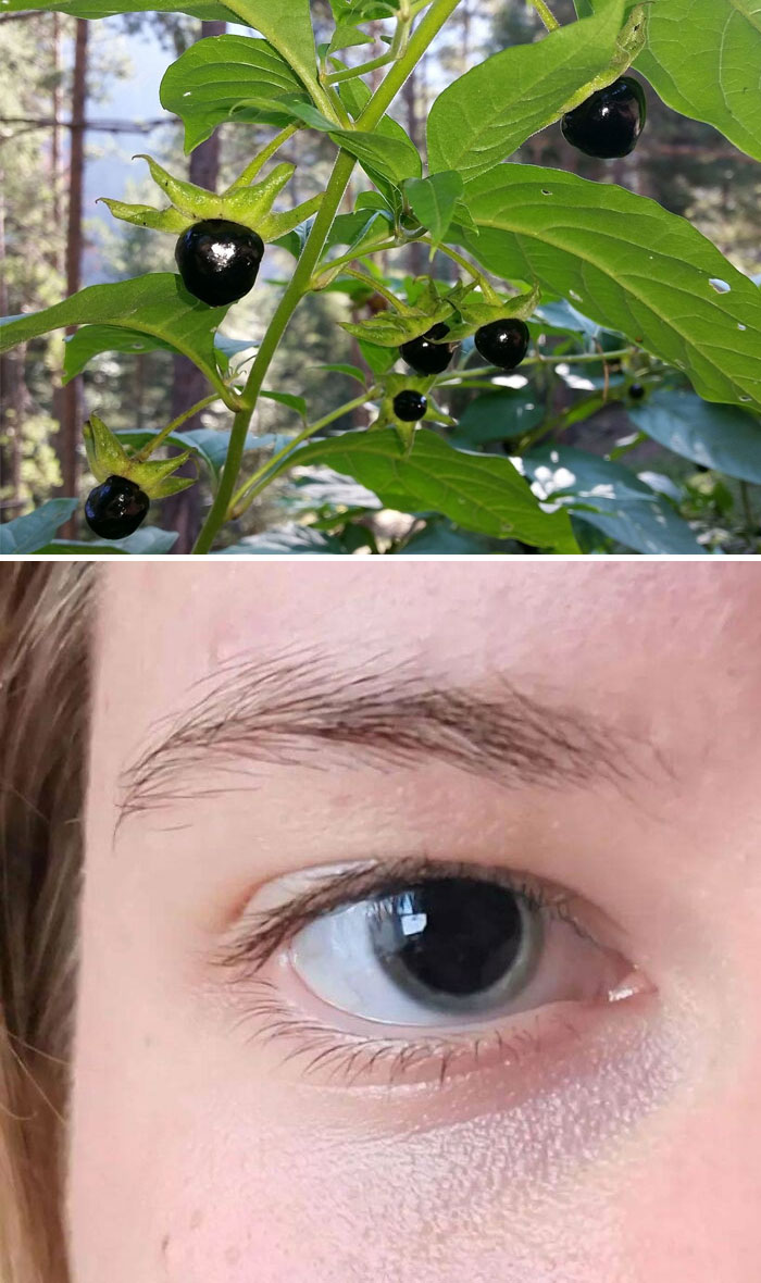 46 Weird Medical Facts That’ll Make You Go Huh?