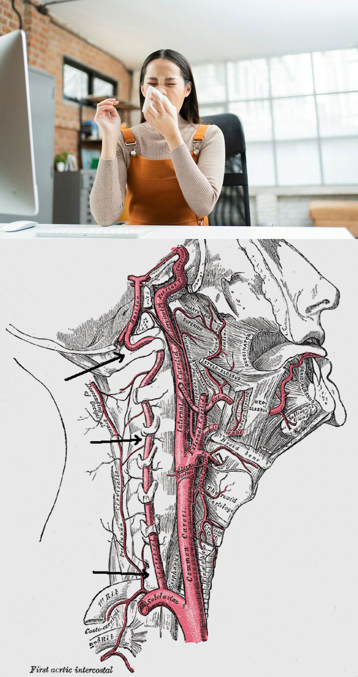 46 Weird Medical Facts That’ll Make You Go Huh?