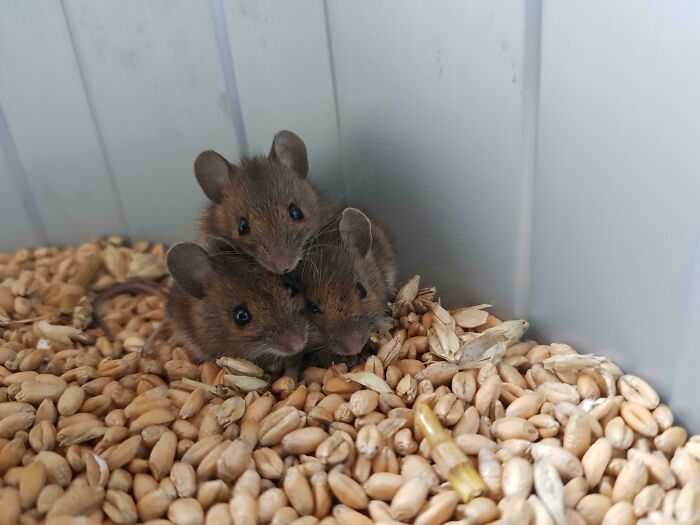 46 Weird Medical Facts That’ll Make You Go Huh?