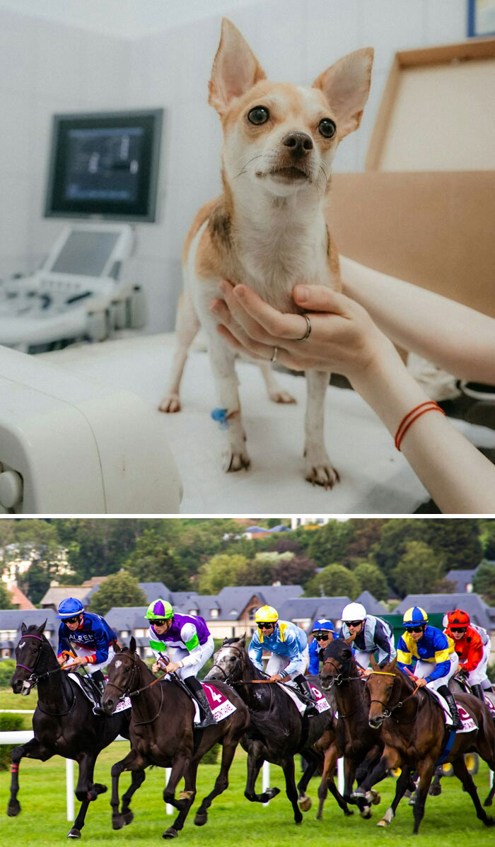 46 Weird Medical Facts That’ll Make You Go Huh?