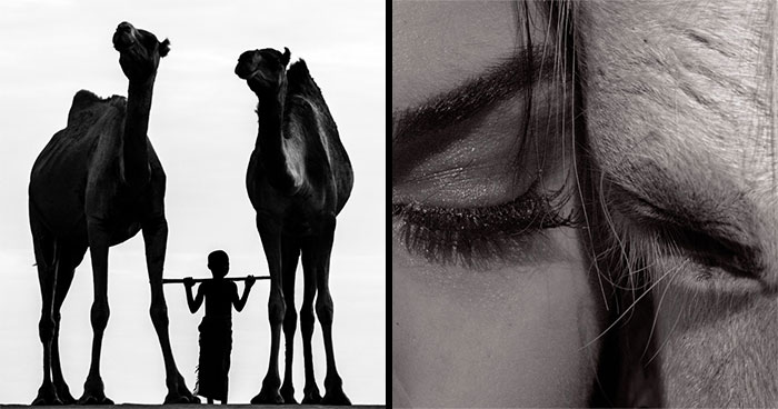 Wait, They Actually Ranked These Stunning Nature Photos?! (43 Pics)