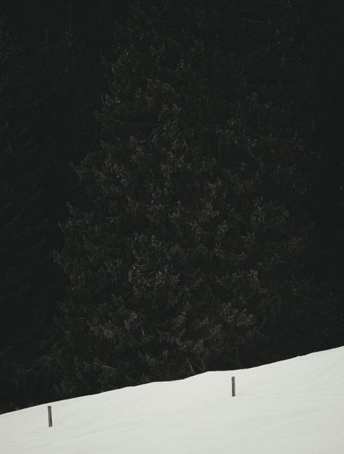 “Snow Rests Without Weight” By Markus Busch