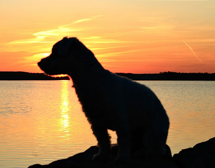 These 58 Wild Stories Prove Smart People Can Be Straight-Up Creepy