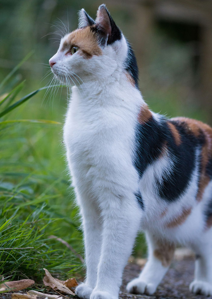 These 58 Wild Stories Prove Smart People Can Be Straight-Up Creepy