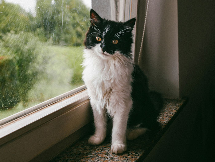 These 58 Wild Stories Prove Smart People Can Be Straight-Up Creepy