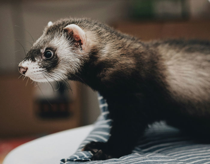 These 58 Wild Stories Prove Smart People Can Be Straight-Up Creepy