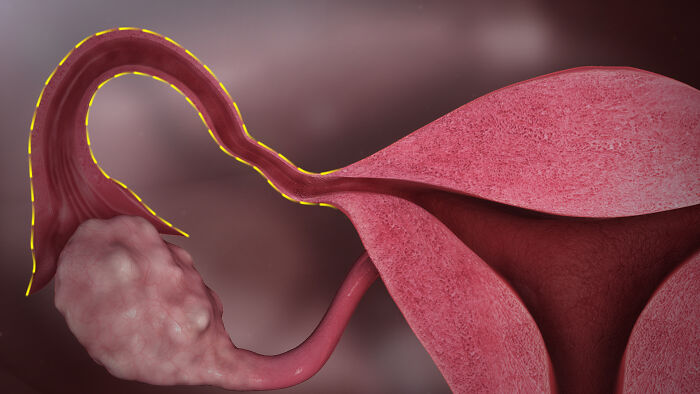 Wait, They Actually Ranked These Crazy Medical Mind-Blowers?!